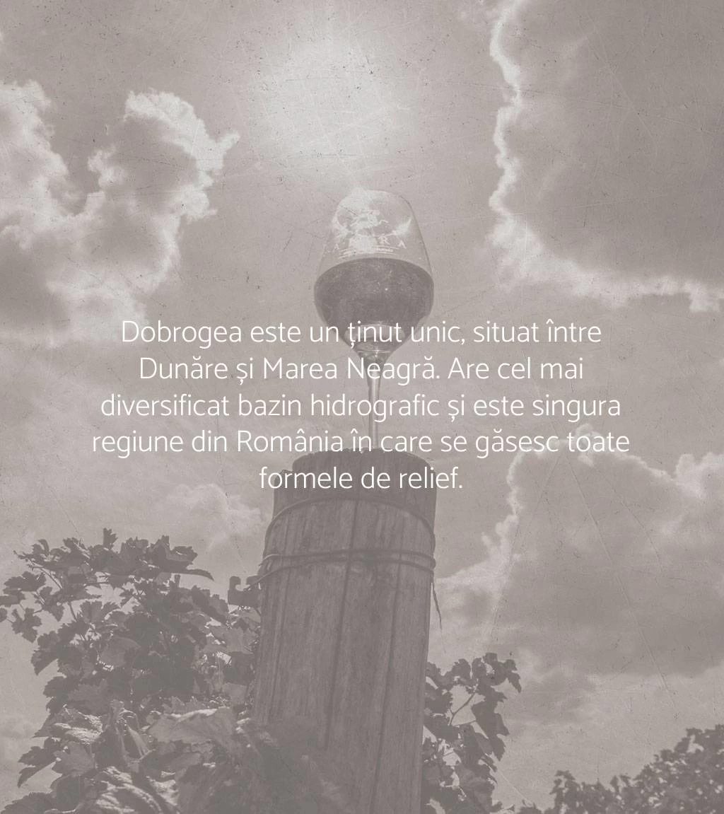 Dobrogea este un ținut unic, situat între Dunăre și Marea Neagră. Are cel mai diversificat bazin hidrografic și este singura regiune din România în care se găsesc toate formele de relief.
