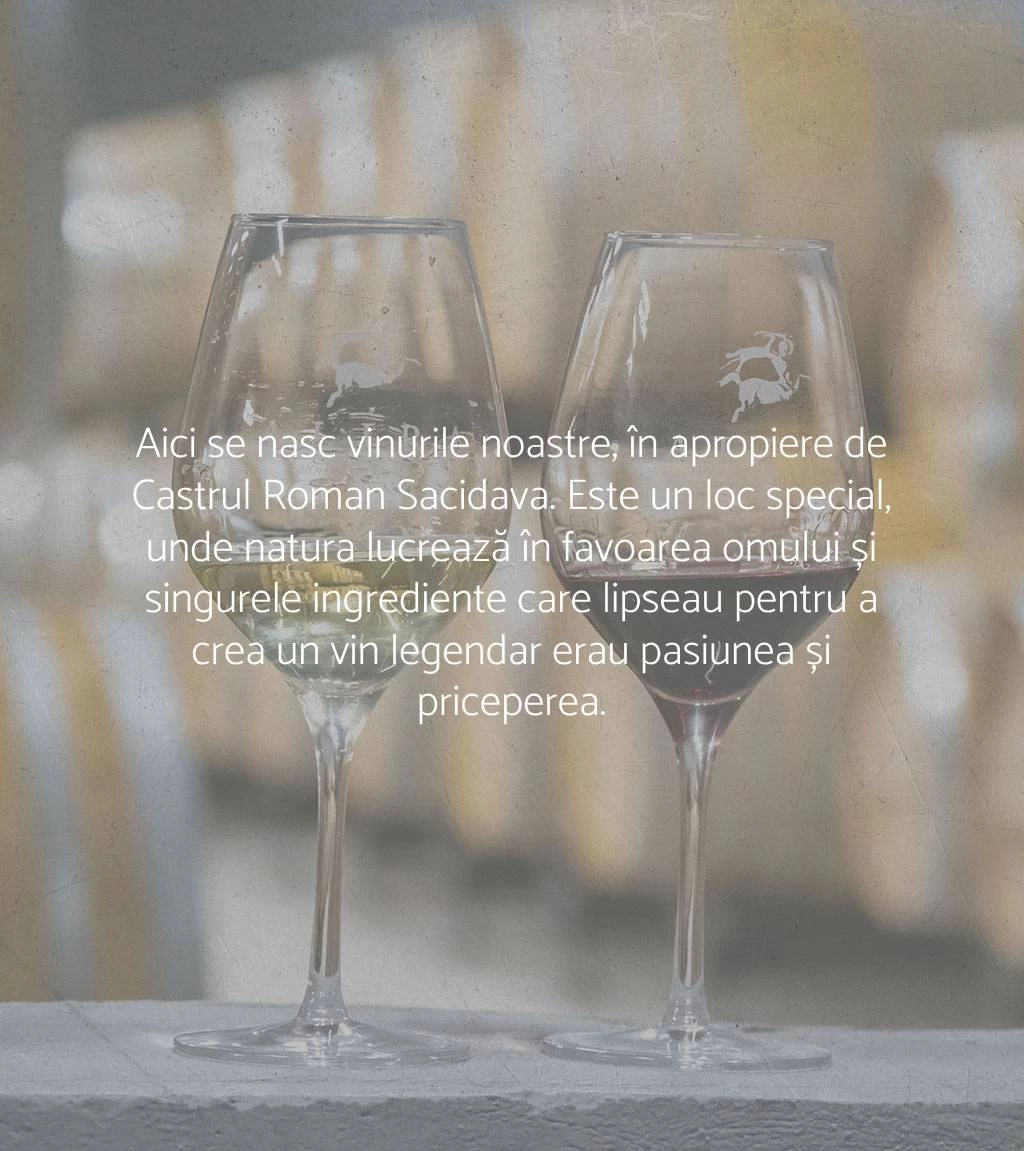 Aici se nasc vinurile noastre, în apropiere de Castrul Roman Sacidava. Este un loc special, unde natura lucrează în favoarea omului și singurele ingrediente care lipseau pentru a crea un vin legendar erau pasiunea și priceperea.